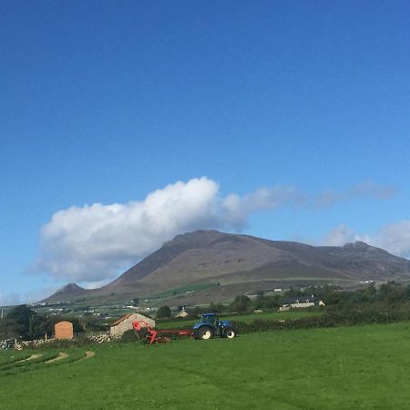 Willowtree Glamping Mournes Villa Annalong Kültér fotó