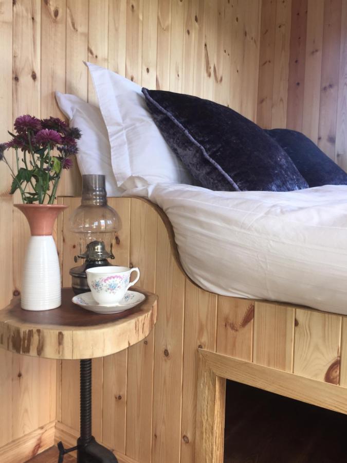 Willowtree Glamping Mournes Villa Annalong Kültér fotó
