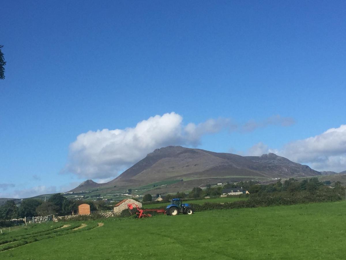 Willowtree Glamping Mournes Villa Annalong Kültér fotó