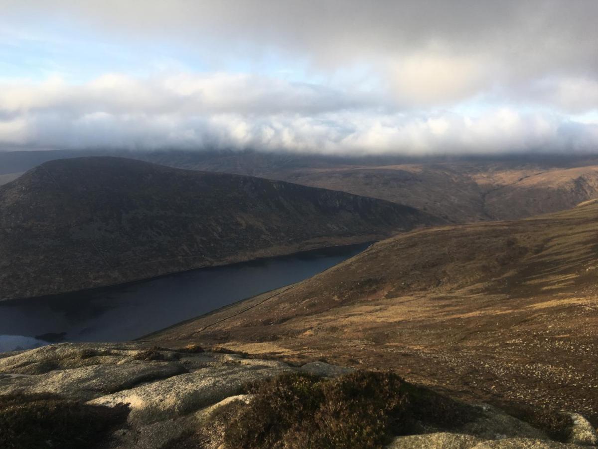 Willowtree Glamping Mournes Villa Annalong Kültér fotó
